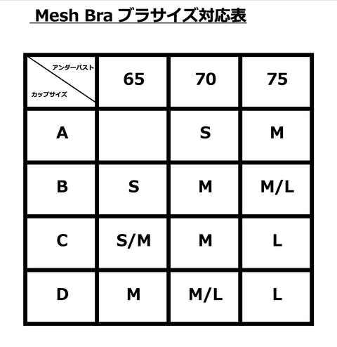 Mesh Bra / Black