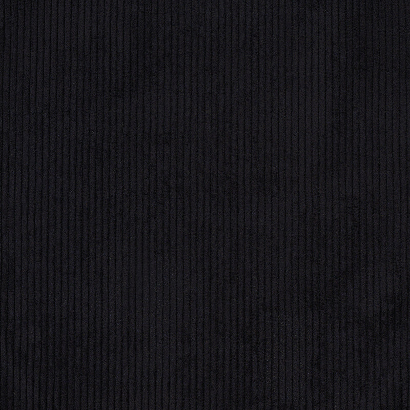 Painter C / CORDUROY BLACK