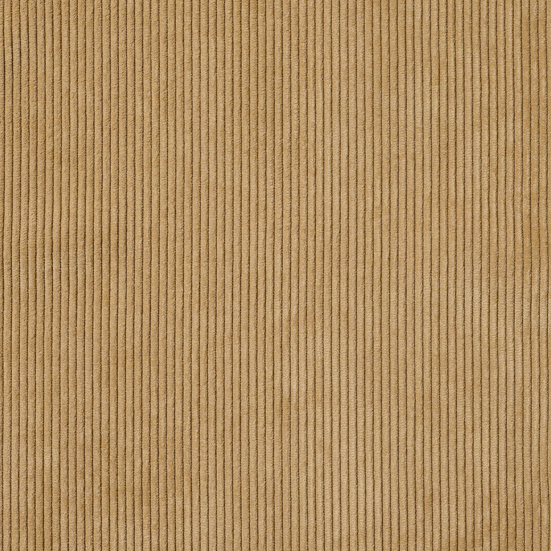 Painter C / CORDUROY BEIGE