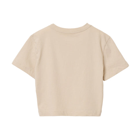 ttp / BEIGE