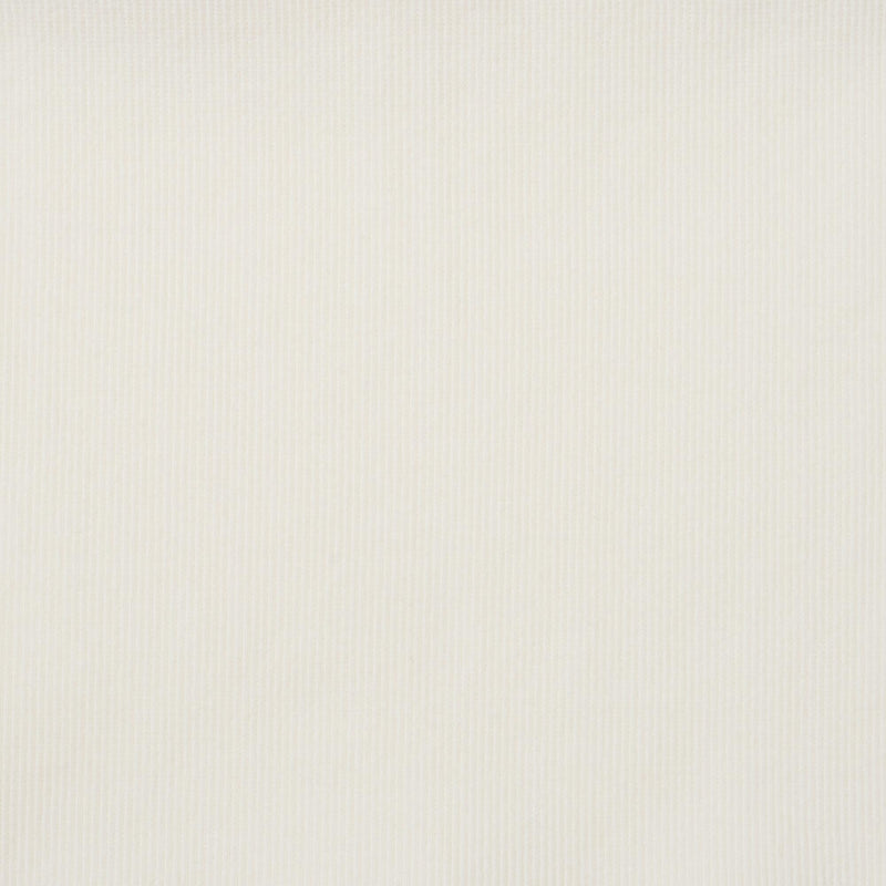 COTTON C / OFF WHITE